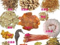 Understanding Chinese Herbs